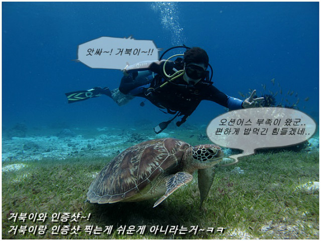 a4.JPG