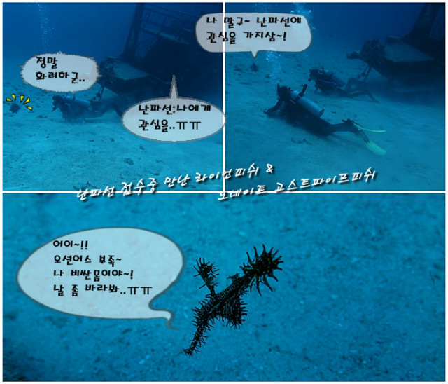 a2.jpg