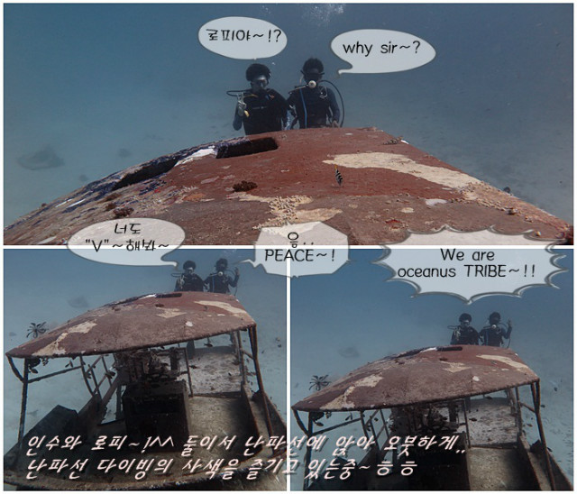 c1.jpg