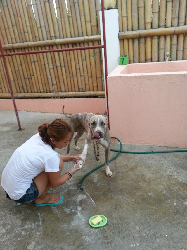 20141007_172141.jpg