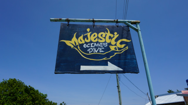 DSC00534.JPG