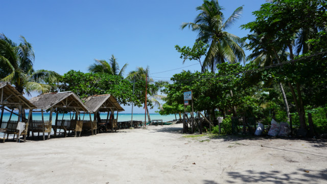 DSC00536.JPG